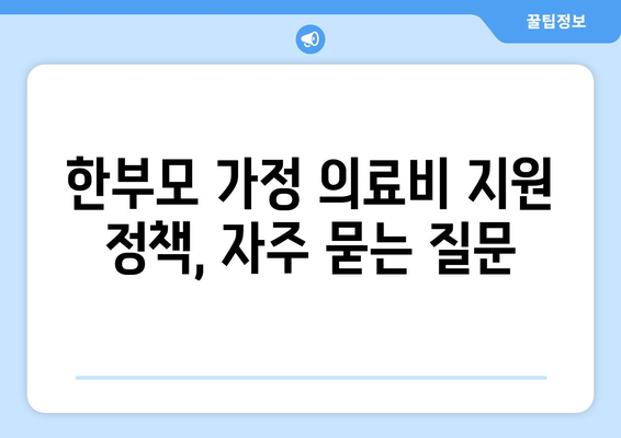 한부모 가정의 의료비 지원 정책