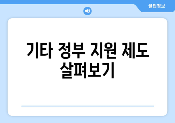 기초생활수급자의 재정 지원, 정부 혜택 총정리