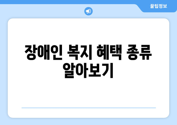 장애인을 위한 복지 혜택, 신청 절차와 지원 항목